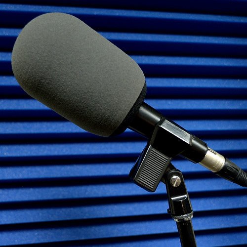 What Is The Best Budget Mic For Streaming And Podcasting?